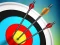 Igra Master Archery Shooting spletu