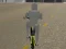 Igra Bicycle Simulator spletu