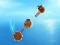 Igra Crazy Machines spletu