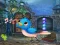 Igra Singing Bird Escape spletu