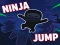 Igra Ninja jump spletu