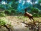 Igra  Hunter 3D spletu