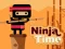 Igra Ninja Time spletu