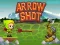 Igra Arrow Shoot spletu