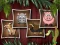 Igra Animal Shapes 3 spletu