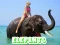 Igra Elephants Puzzle spletu