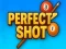 Igra Perfect Shot spletu
