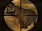 Igra Classical Hippo Hunting spletu