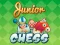 Igra Junior Chess spletu