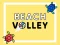 Igra Beach Volley spletu