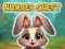 Igra Number Quest spletu