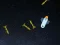 Igra 5 Minutes in Space spletu