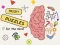 Igra Brain Puzzles Quests spletu