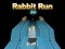 Igra Rabbit Run 3D spletu