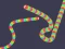 Igra Slither Classic spletu