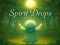 Igra Spirit Drops spletu