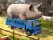 Igra Driver Master Simulator spletu
