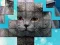 Igra PicPu Cat spletu