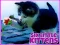 Igra Six Little Kittens spletu