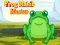 Igra Frog Match Master spletu