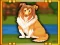 Igra Bernese Mountain Dog Escape spletu