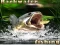 Igra Backwater Fishing spletu