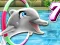 Igra My Dolphin Show 7 spletu
