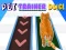 Igra Pet Trainer Duel spletu