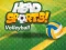 Igra Head Sports Volleyball spletu