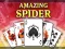 Igra Amazing Spider Solitaire spletu