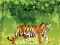 Igra Angry Tiger Coloring spletu