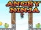 Igra Angry Ninja spletu