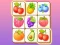 Igra Zoo Tile spletu