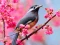 Igra Lovable Birds spletu