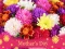 Igra 2019 Mother's Day Puzzle spletu