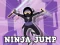 Igra Ninja Jump spletu