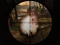 Igra Classical Rabbit Sniper Hunting 2019 spletu