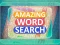 Igra Amazing Word Search spletu