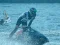 Igra Power Boat Racing 3D spletu