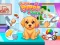 Igra Cute Puppy Care spletu
