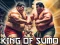 Igra King Of Sumo the ultimate brawl spletu