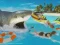 Igra La Shark spletu
