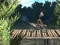 Igra Bike Trial Xtreme Forest spletu