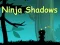 Igra Ninja Shadows spletu