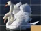 Igra Animals Slide Puzzle spletu