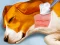 Igra Dog Hospital spletu