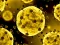 Igra Coronavirus Slide spletu