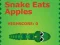 Igra Snake Eats Apples spletu