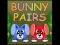 Igra Bunny Pairs spletu