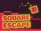 Igra Square Escape spletu